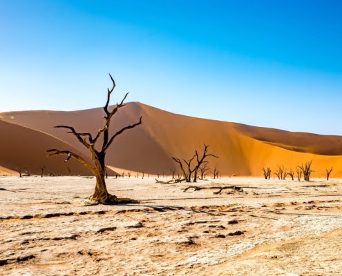 Mietwagenreise - Namibia